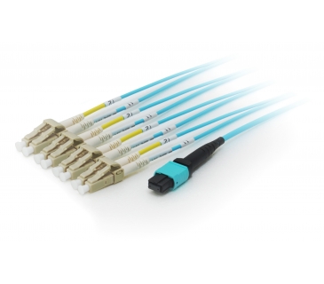 Cable Réseaux Optique EQUIP MTP/LC Trunk Fiber Patch Cord OM4 M/M 5.00m - Equip Cable Réseaux Optique EQUIP MTP/LC Trunk Fiber Patch Cord OM4 M/M 5.00m - Equip