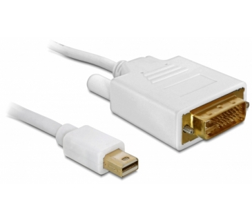 Câble Ecran Cable mini Displayport male to DVI 24+1 male 2 m - Delock Câble Ecran Cable mini Displayport male to DVI 24+1 male 2 m - Delock