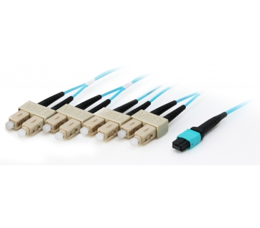 Câble Réseau Cat5 MTP/SC Trunk Fiber Patch Cord OM4 M/M 3M - Equip
