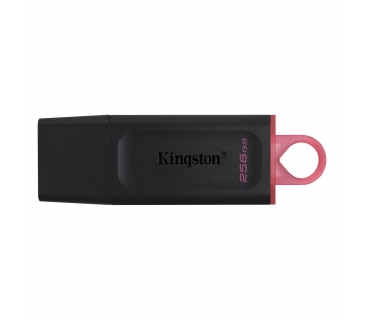 Mémoire USB Kingston 256GB USB3.2 Gen1 DataTraveler Exodia (Black + Pink) - Kingston