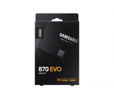 Disque SSD Samsung 870 EVO 250 GB - Samsung