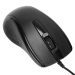 Targus Targus Antimicrobial USB Wired Mouse