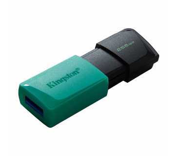 Mémoire USB Kingston 256GB DT Exodia M USB3.2 Gen 1 (Black + Green) - Kingston