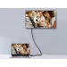 DisplayPort 1.4 St/St 3.0m 8K/60Hz komp.HDCP Black - Equip