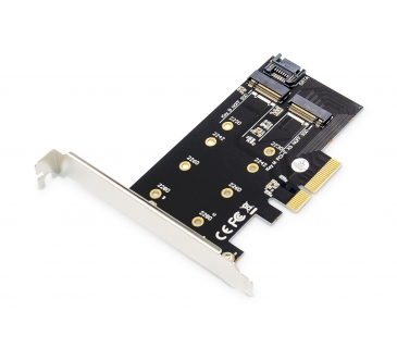 Controlleur ASSMANN M.2 NGFF / NVMe SSD PCIe 3.0 supports B