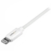 1m white2pole Lightning cabel/iPhone/PaD - Startech