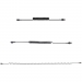 1m/3ft USB to Lightning Cable Coiled - Startech