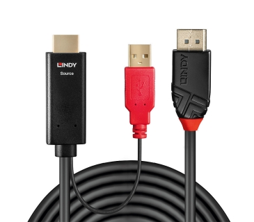 Câble Ecran 1m HDMI an DisplayPort Adapterkabel