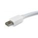 Equip Mini DisplayPort auf DisplayPort Adapter White - Equip