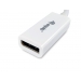 Equip Mini DisplayPort auf DisplayPort Adapter White - Equip
