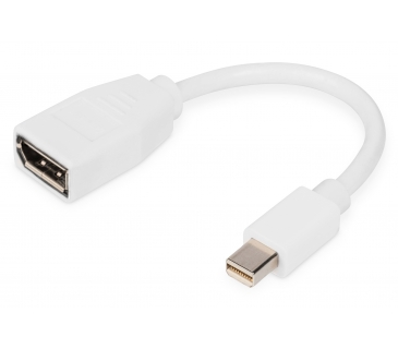 Adaptateur Ecran Digitus DisplayPort Adapterkabel, mini DP - DP