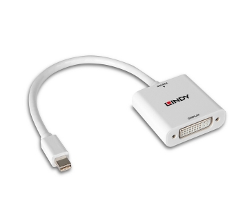 Adaptateur Ecran Lindy Lindy Mini DisplayPort auf DVI Converter