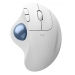 Logitech LOGITECH ERGO M575S WL TRACKBALL MOUSE - Logitech