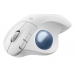 Logitech LOGITECH ERGO M575S WL TRACKBALL MOUSE - Logitech