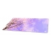 Tapis souris Sharkoon Skiller SGP40 D1 1000x500mm