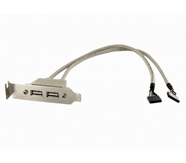 Câble USB 2 PORT USB A FEMALE LOW PROFILE SLOT PLATE ADAPTER UK - Startech