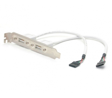 Câble USB BLANKING PLATE WITH 2X USB PORT UK - Startech