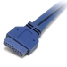 2 Port USB 3.0 A Female Slot Plate Adapter - USB 3.0 motherboard Adapter - USB 3 plate - USB 3.0 header Adapter - Startech